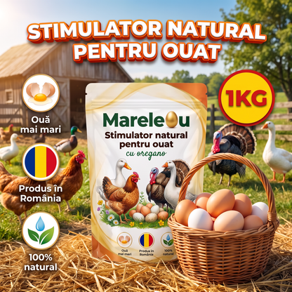 MareleOu – Stimulator Natural pentru Ouat - 1 KG